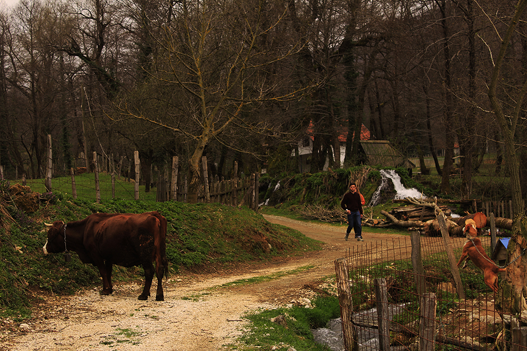 Деревня в Республике Сербской